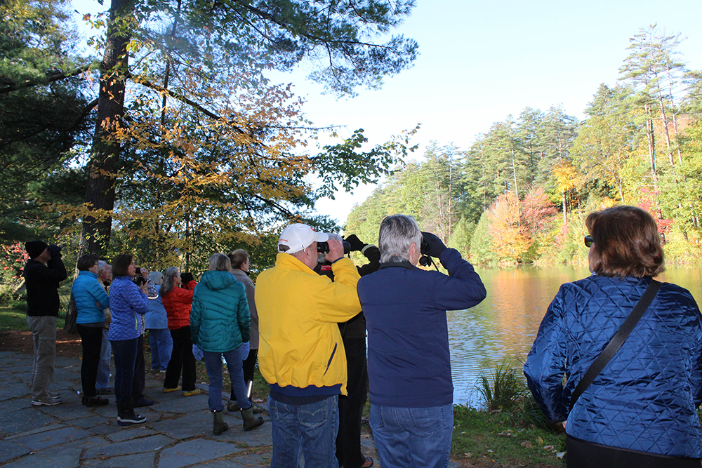 Gail McPeek's Birding Class Gail McPeek's Birding Class