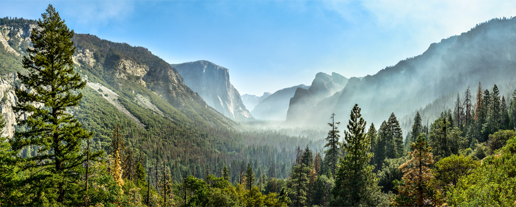 Olmsted & Yosemite