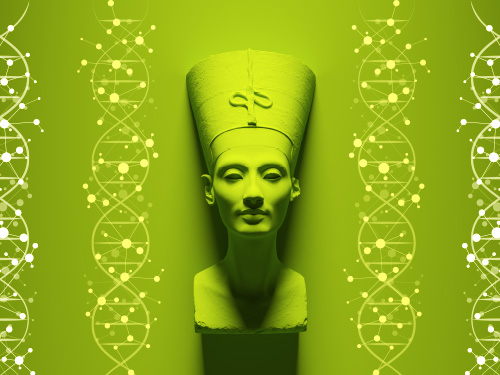 DNA & Mummies