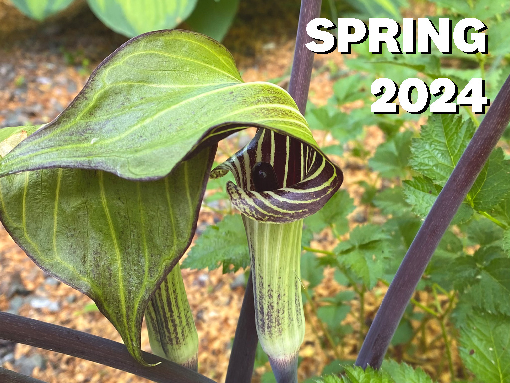 Spring 2024 catalog